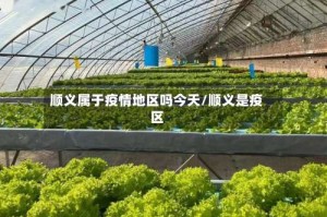 顺义属于疫情地区吗今天/顺义是疫区