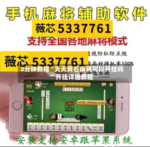 3分钟教程“天天黄石麻将可以开挂吗”开挂详细教程-第2张图片
