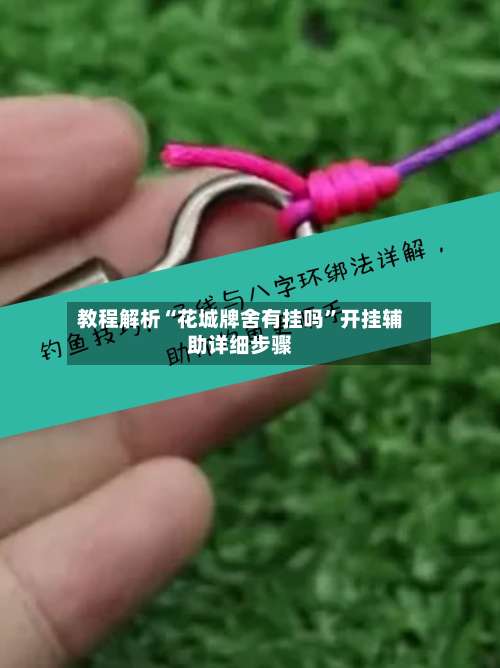 教程解析“花城牌舍有挂吗	”开挂辅助详细步骤-第1张图片